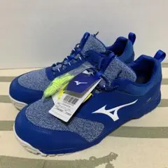 2026年最新】安全靴 ミズノ 27の人気アイテム - メルカリ