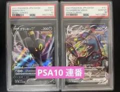 2026年最新】ブラッキー psa10 連番の人気アイテム - メルカリ