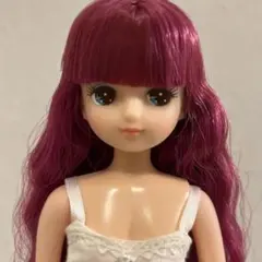 2026年最新】リカちゃんキャッスルあきちゃんの人気アイテム - メルカリ