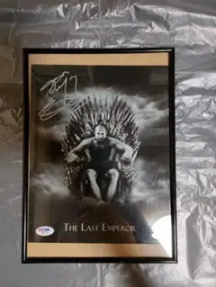 2026年最新】ヒョードル サインの人気アイテム - メルカリ