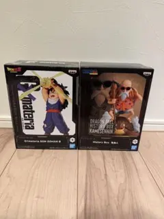 2026年最新】History Box 亀仙人の人気アイテム - メルカリ