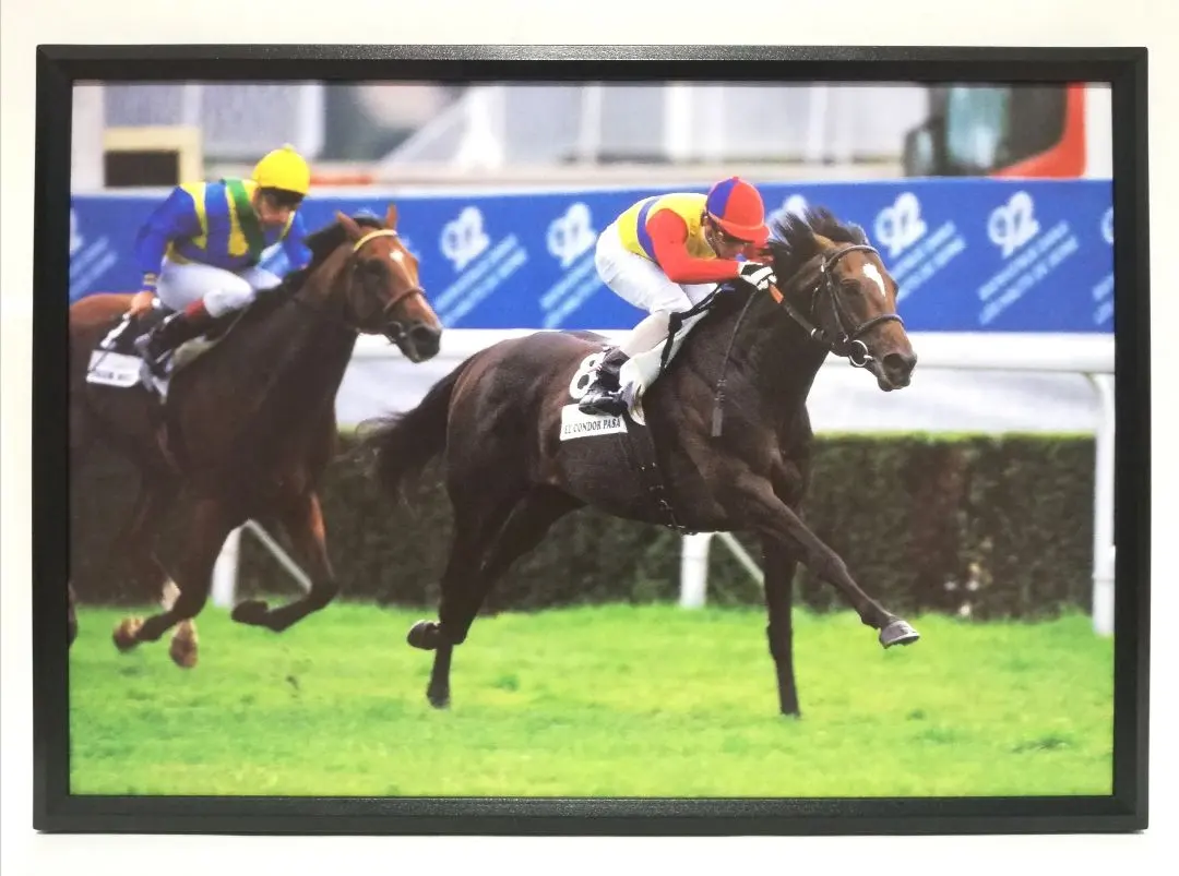 2026年最新】馬券 エルコンドルパサーの人気アイテム - メルカリ