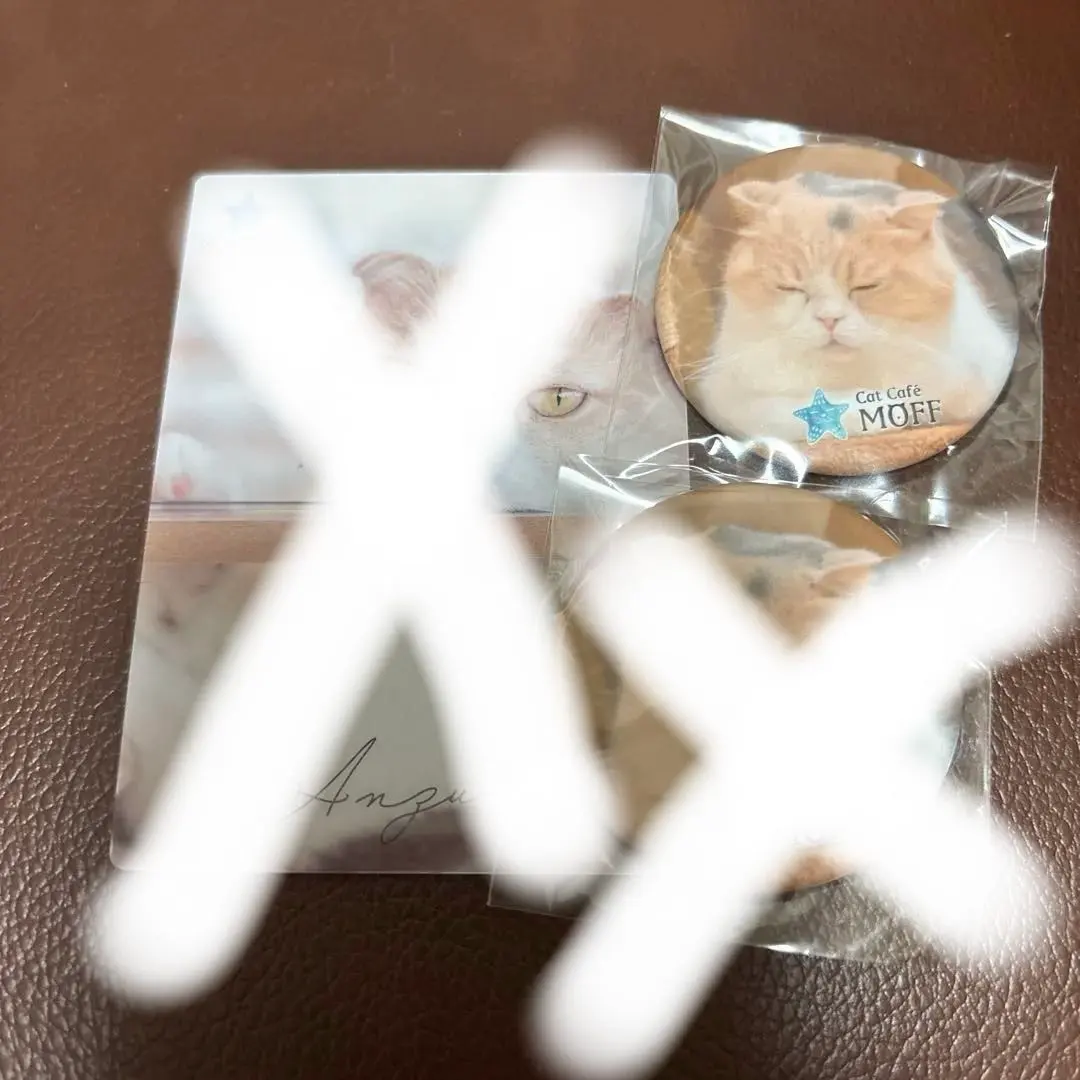 2026年最新】猫カフェ moffの人気アイテム - メルカリ