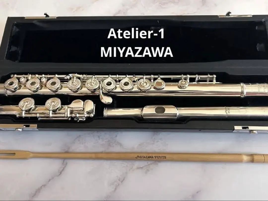 2026年最新】ミヤザワ フルートの人気アイテム - メルカリ