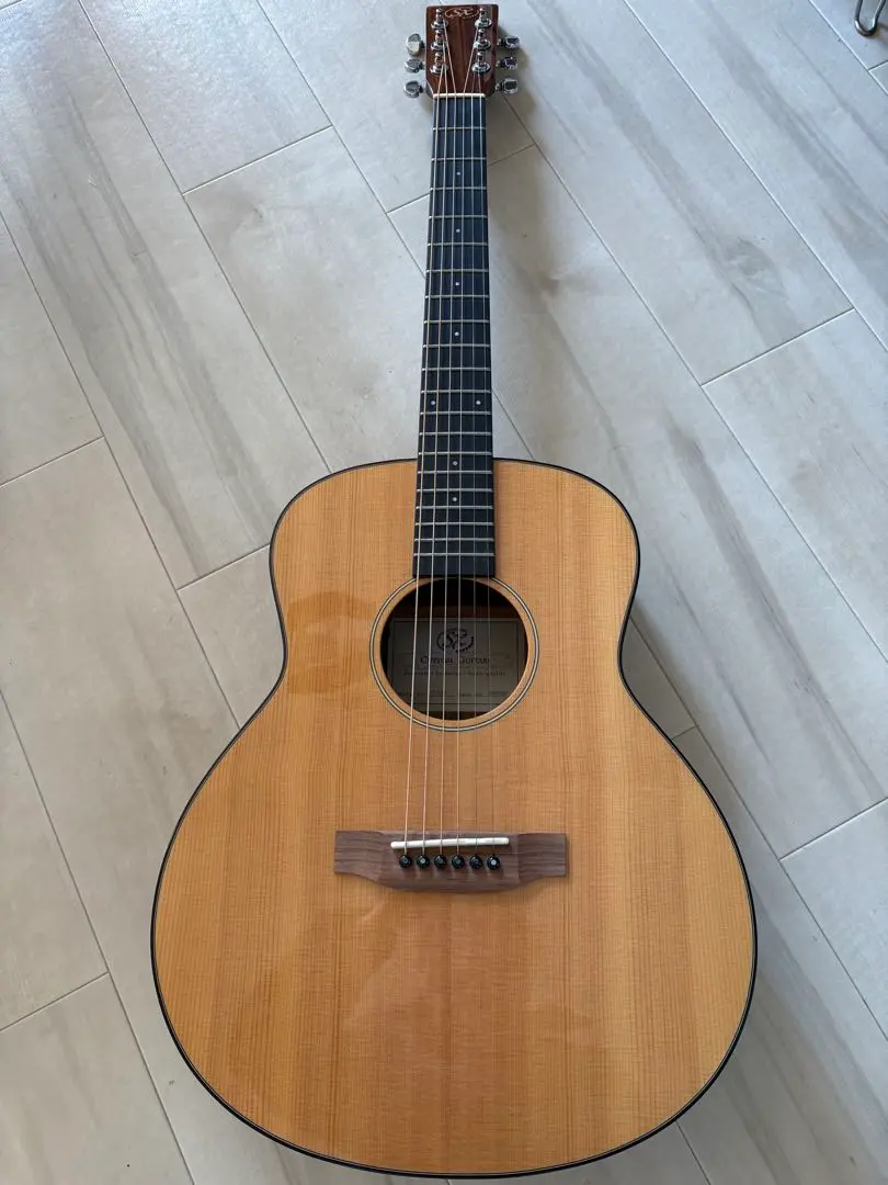 2026年最新】sx アコースティックギターの人気アイテム - メルカリ