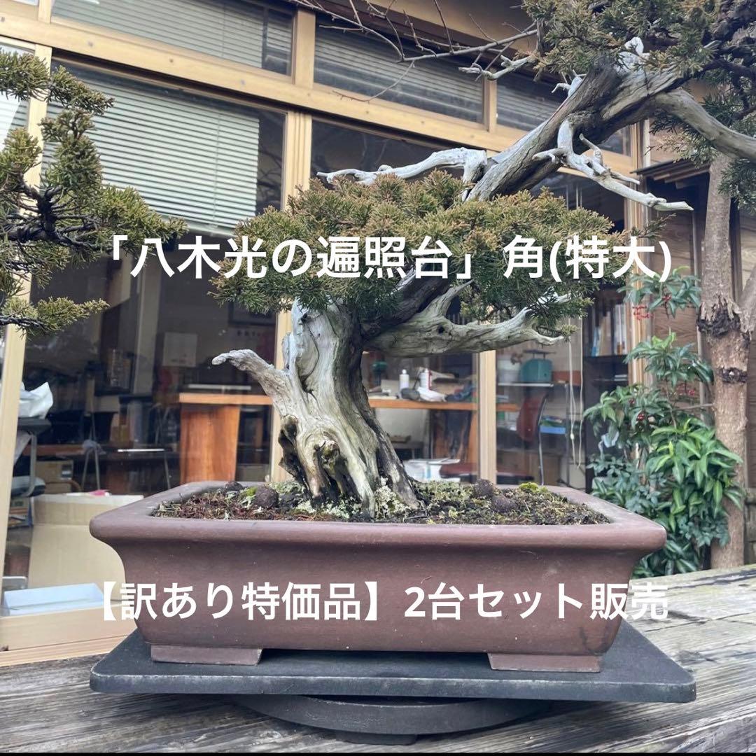 【訳あり特価A】盆栽回転台2台 「八木光の遍照台」角(特大)50×36【送料込】 訳あり特価A】盆栽回転台2台 「八木光の遍照台」角(特大)50×36｜Yahoo