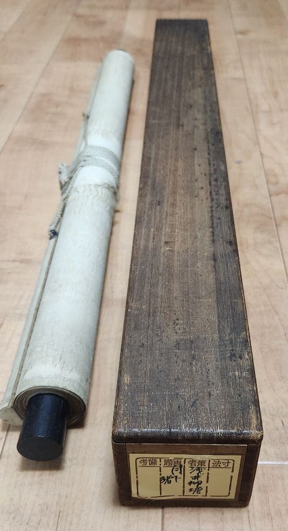 月下猪図】浅井柳塘 2655 阿波徳島出身 イノシシ 掛け軸 肉筆 - メルカリ