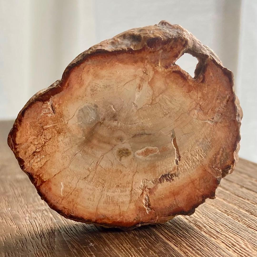 新品】マダガスカル産 ペトリファイドウッド 珪化木 69.18g 化石 研磨