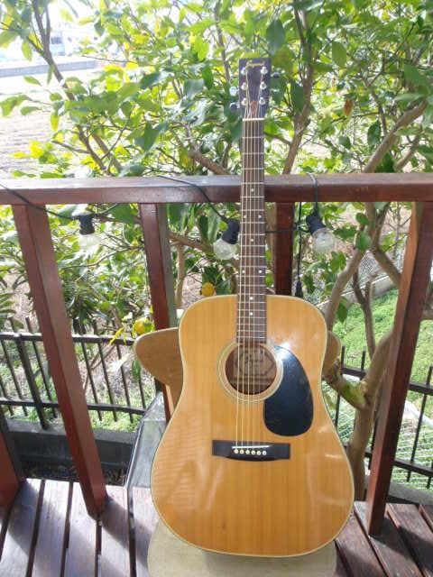 ジャガード（寺田楽器）ＪＤ15よく鳴る ジャガード（寺田楽器）JD15よく鳴る Jagard ジャガード（寺田楽器