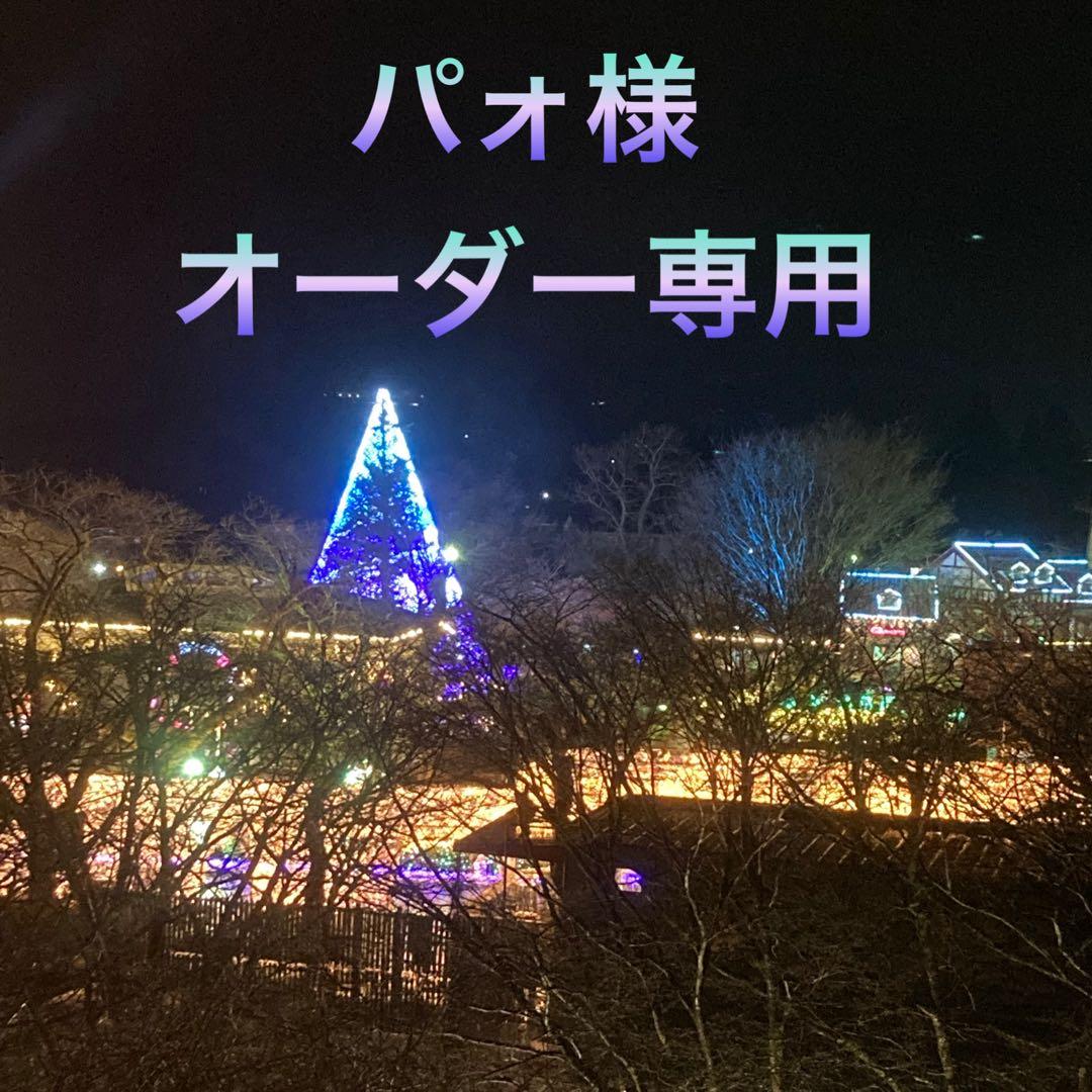 パォ様オーダー専用ページ 情報保護ラベル 貼り直しOK 往復はがき用/はがき全面｜HISAGO ヒサゴ