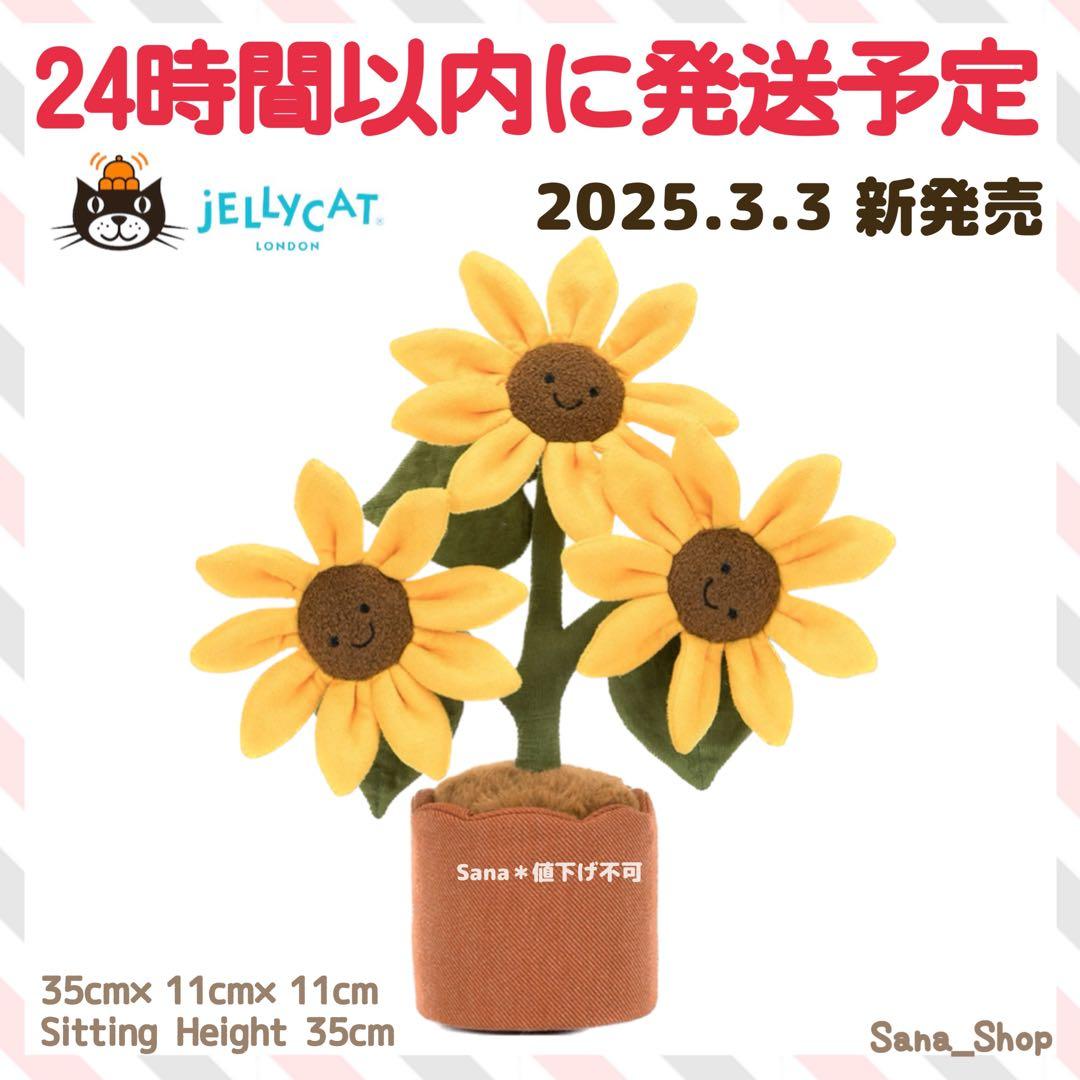 新品　ジェリーキャット　ヒマワリ　ひまわり　向日葵　植物　ぬいぐるみ　花 エコット スマイルサンフラワー｜ひまわり栽培キット