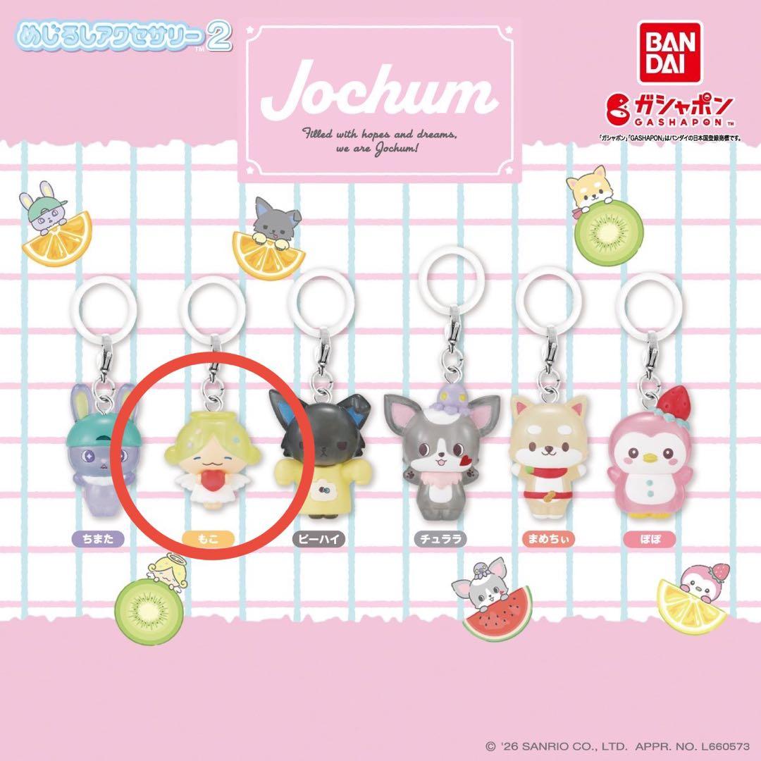 JOCHUM ジェオチャム もこ めじるしアクセサリー - メルカリ