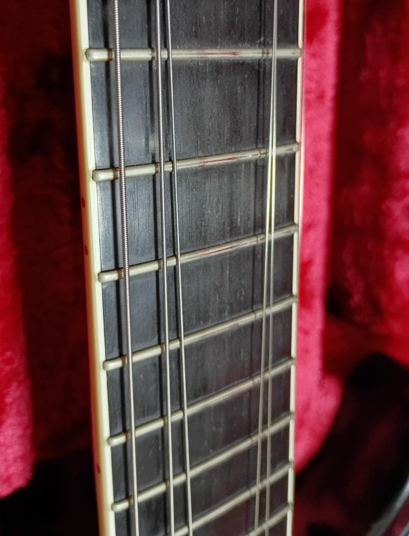 SUGIZO直筆サイン入り！】 LUNASEA TLRS ESP R-Ⅰ - メルカリ