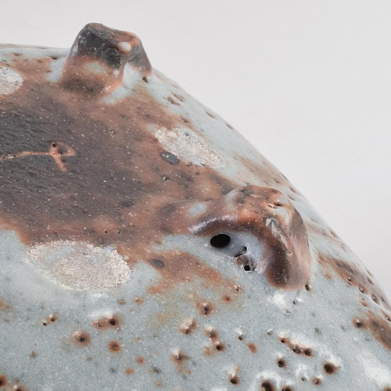 和食器 美土里窯 鼠志野 草文 向付 五客 共箱 M R9246B - メルカリ