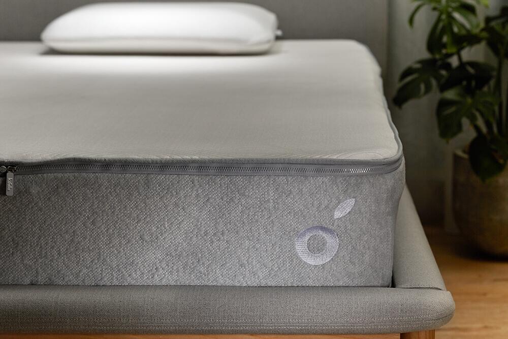 夏の寝苦しさに新提案。良質で深い睡眠へ誘う「コアラマットレス