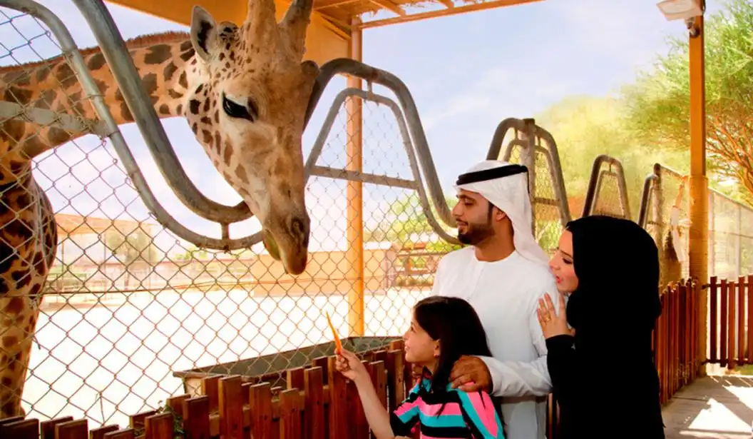 al-ain-zoo