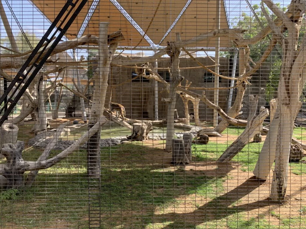 zoo wall fence